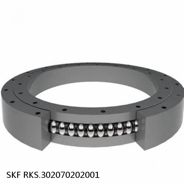 RKS.302070202001 SKF Slewing Ring Bearings