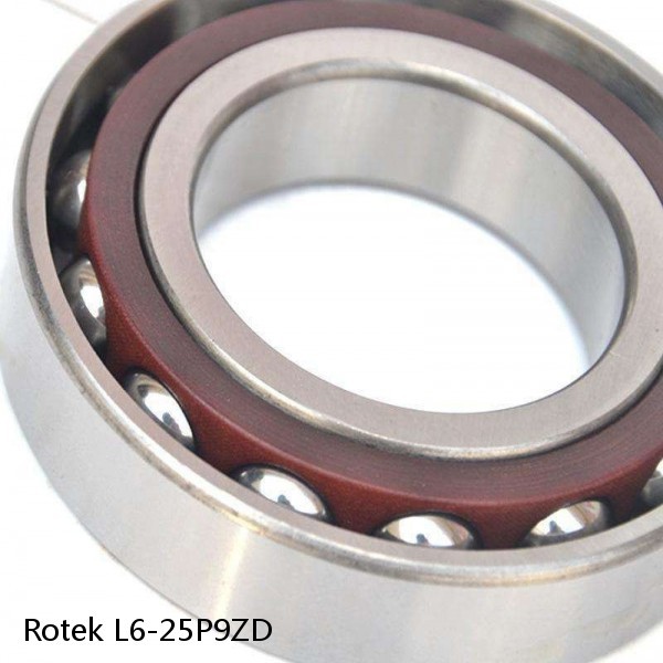 L6-25P9ZD Rotek Slewing Ring Bearings