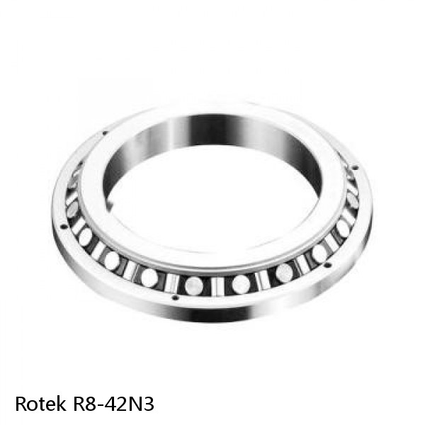 R8-42N3 Rotek Slewing Ring Bearings