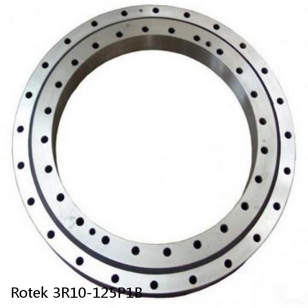 3R10-125P1B Rotek Slewing Ring Bearings #1 small image