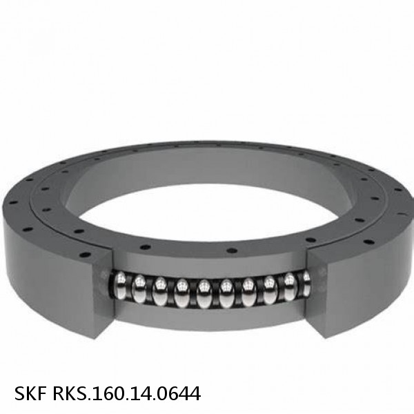 RKS.160.14.0644 SKF Slewing Ring Bearings #1 small image