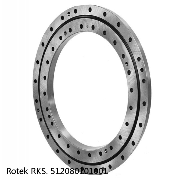 RKS. 512080101001 Rotek Slewing Ring Bearings #1 small image