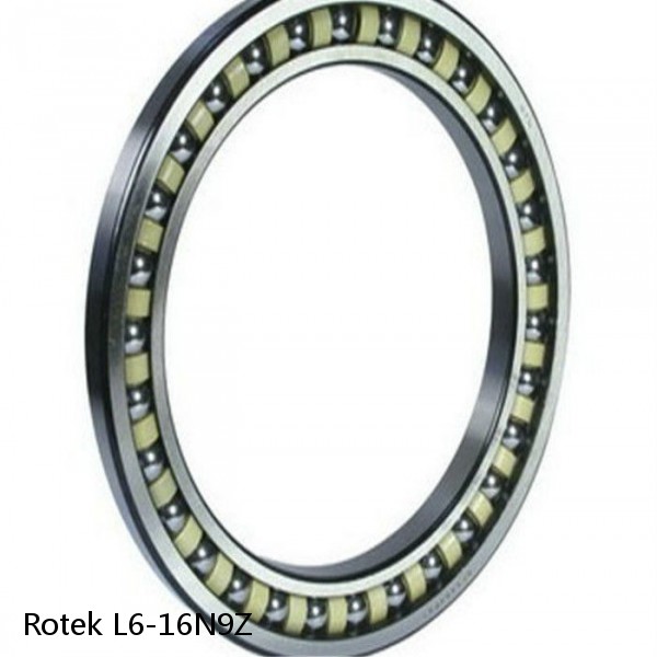 L6-16N9Z Rotek Slewing Ring Bearings #1 small image