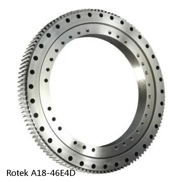 A18-46E4D Rotek Slewing Ring Bearings #1 small image
