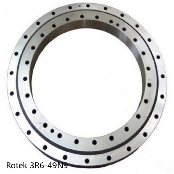 3R6-49N9 Rotek Slewing Ring Bearings #1 small image