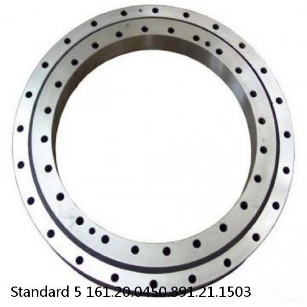 161.20.0450.891.21.1503 Standard 5 Slewing Ring Bearings #1 small image