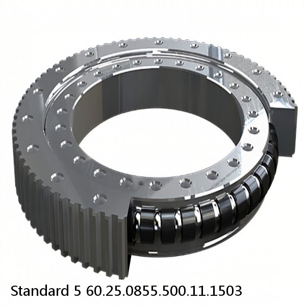 60.25.0855.500.11.1503 Standard 5 Slewing Ring Bearings #1 small image