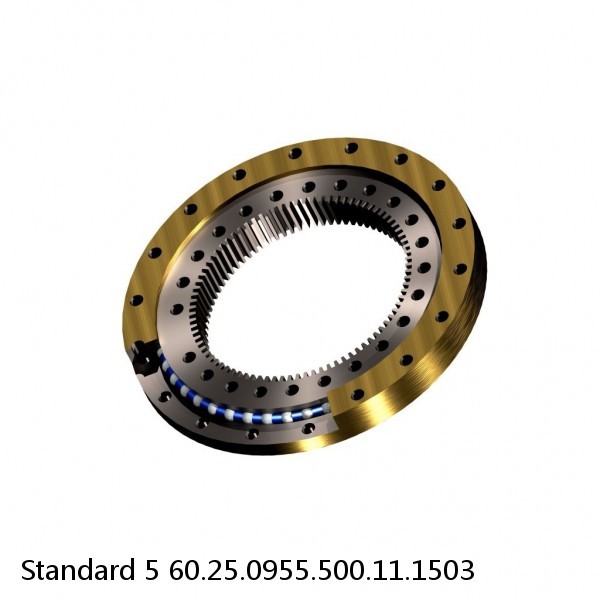 60.25.0955.500.11.1503 Standard 5 Slewing Ring Bearings #1 small image