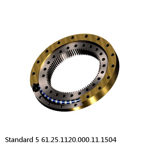 61.25.1120.000.11.1504 Standard 5 Slewing Ring Bearings #1 small image