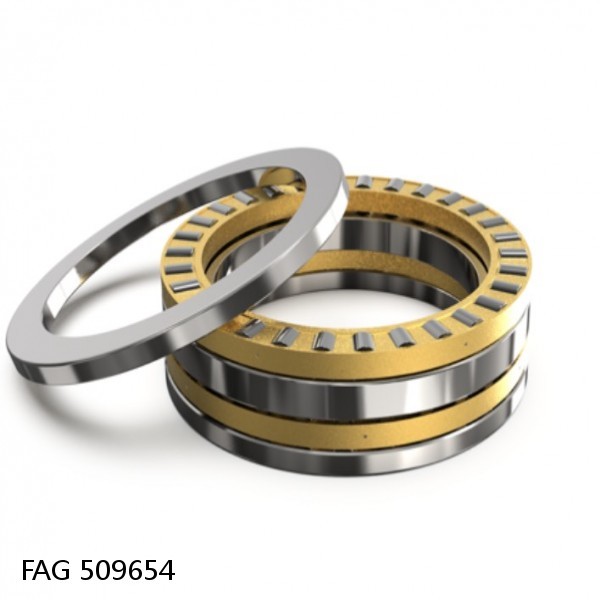FAG 509654 DOUBLE ROW TAPERED THRUST ROLLER BEARINGS