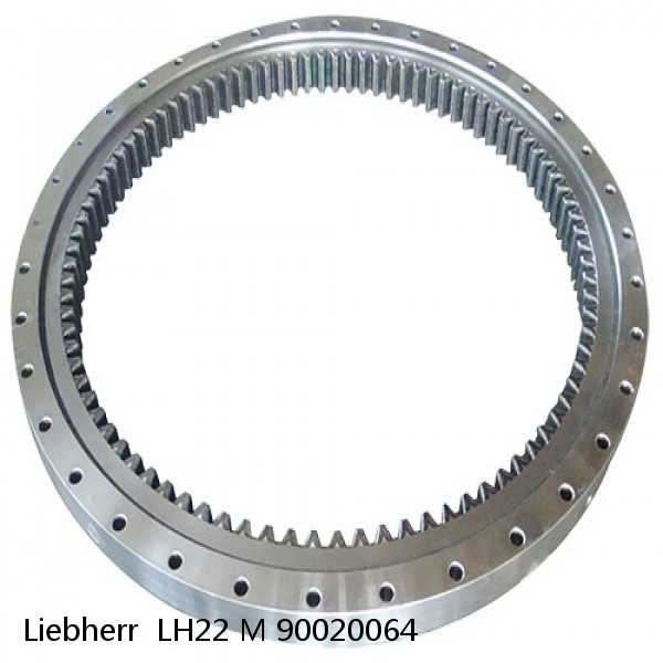 90020064 Liebherr  LH22 M Slewing Ring #1 small image