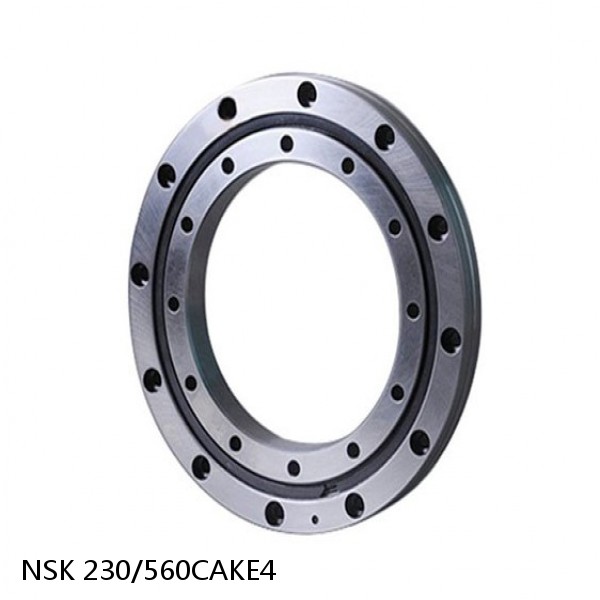 230/560CAKE4 NSK Spherical Roller Bearing #1 small image