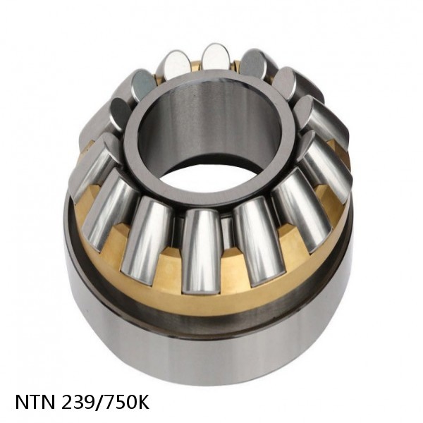 239/750K NTN Spherical Roller Bearings #1 small image