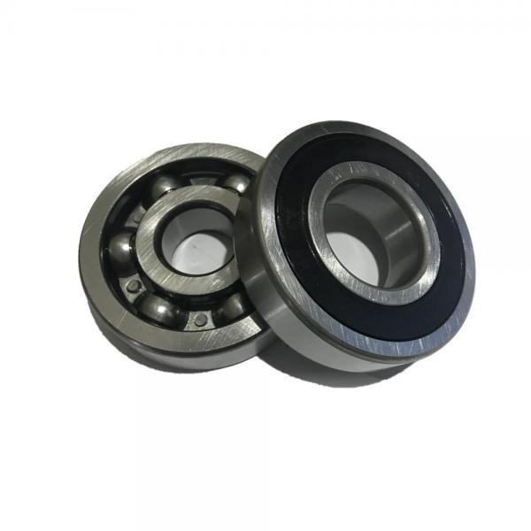 FAG NU2313-E-M1-C4  Cylindrical Roller Bearings #2 image