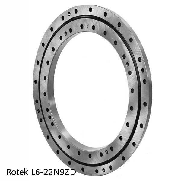 L6-22N9ZD Rotek Slewing Ring Bearings #1 image