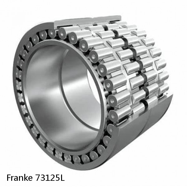 73125L Franke Slewing Ring Bearings #1 image