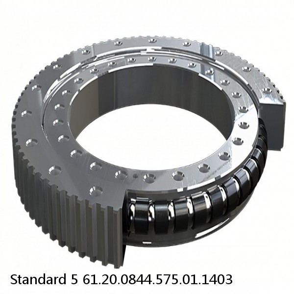 61.20.0844.575.01.1403 Standard 5 Slewing Ring Bearings #1 image