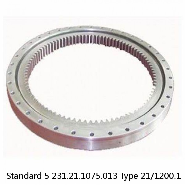 231.21.1075.013 Type 21/1200.1 Standard 5 Slewing Ring Bearings #1 image