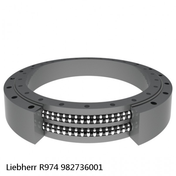 982736001 Liebherr R974 Slewing Ring #1 image