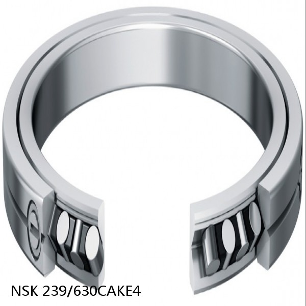 239/630CAKE4 NSK Spherical Roller Bearing #1 image