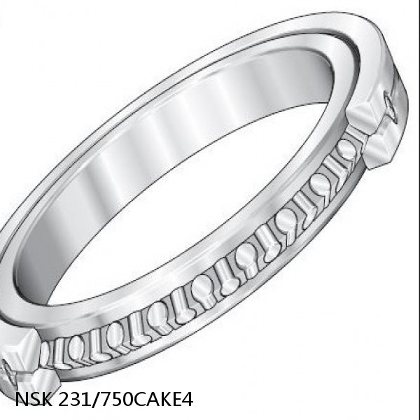 231/750CAKE4 NSK Spherical Roller Bearing #1 image